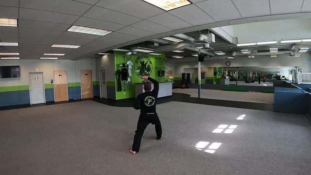 Heian-Shodan Yellow Belt Kata смотреть онлайн