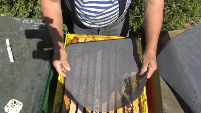 Вывод маток БАКФАСТ 2021год