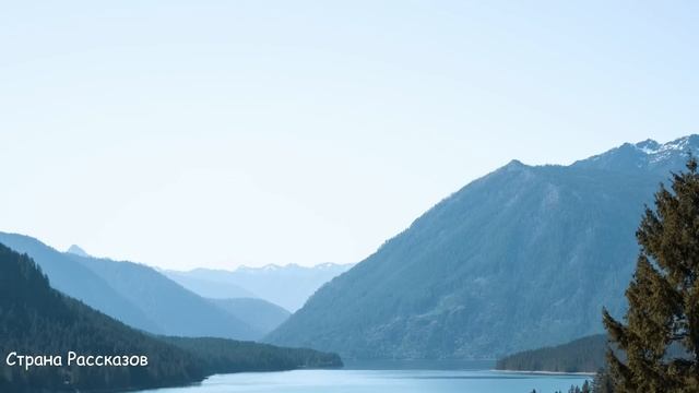 - Вы особо рот тут не раскрывайте не то в стардом сдам! - заявил наглый зять приехавшей тёще, но он смотреть онлайн