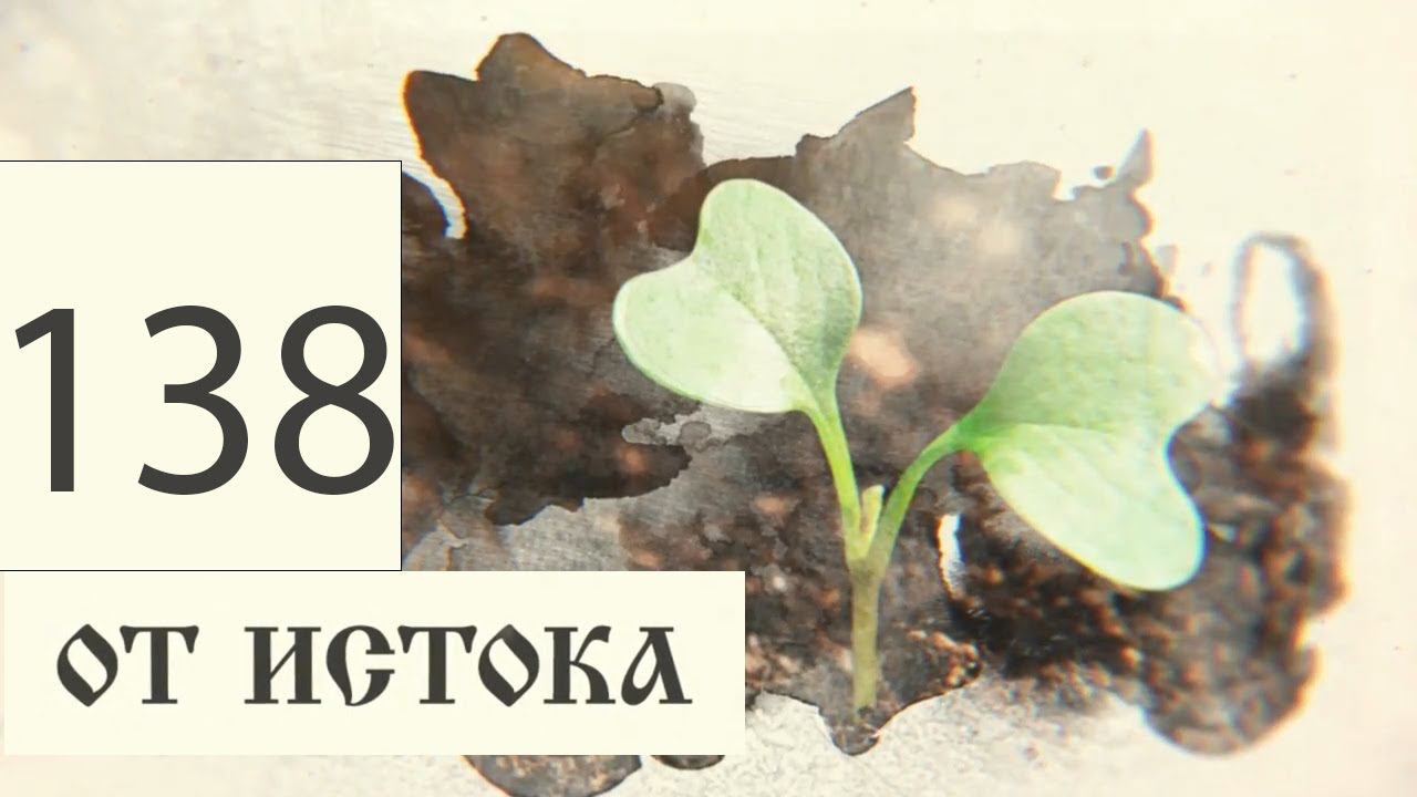 Программа "ОТ ИСТОКА". Выпуск №138 смотреть онлайн