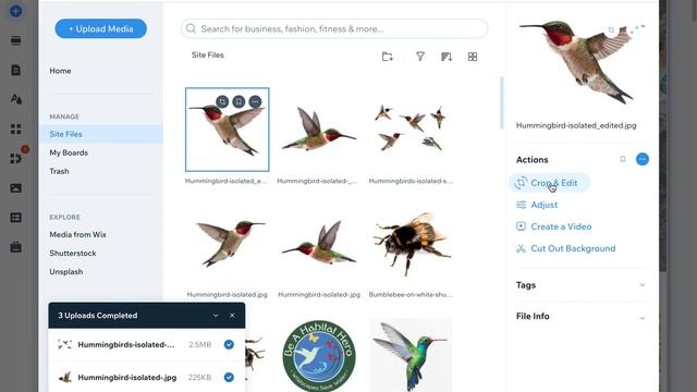 Wix Photo Editor смотреть онлайн