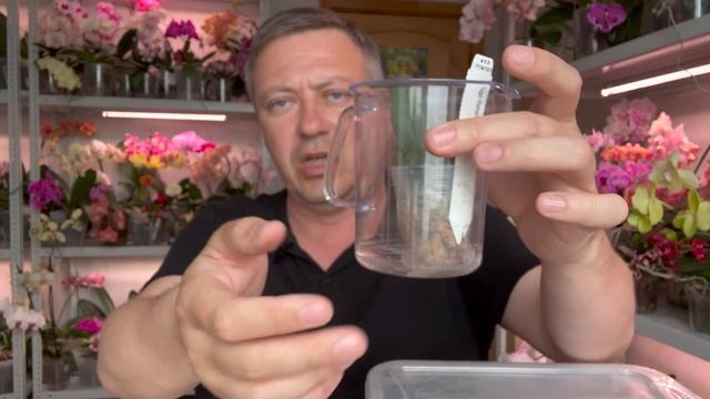 посылка с новыми орхидеями / обзор орхидей и чем ВЗБОДРИТЬ орхидеи после ПОЧТЫ смотреть онлайн