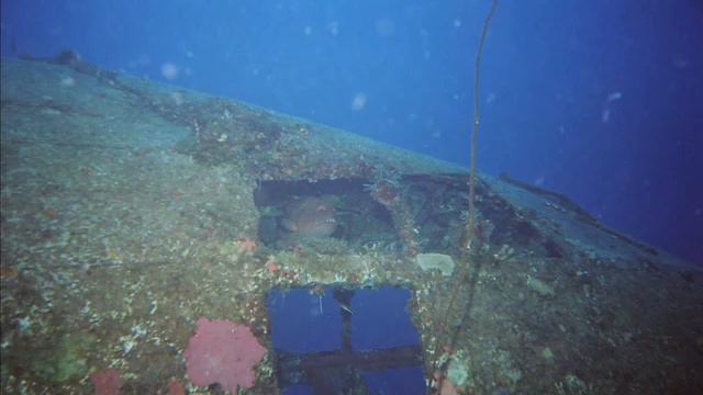 Kwajalein Dive смотреть онлайн