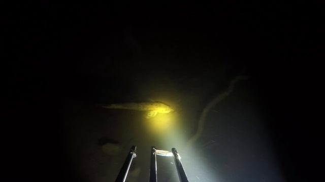 Ловим налима ночью руками / Catch Burbot At Night Hands