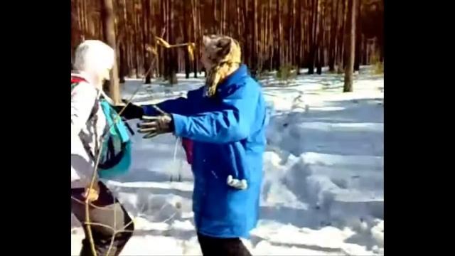 Скандинавская ходьба во Владимире. Прогулка в лесу. смотреть онлайн