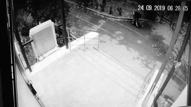 Школа номер 2 смотреть онлайн