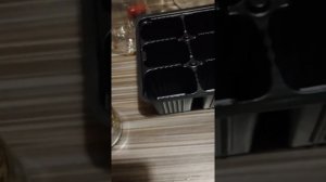 Стратификация клематиса, Клематис из семян, семена клематиса из Китая, посев