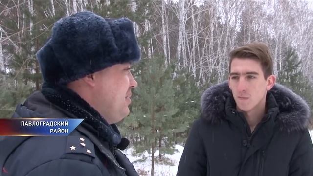 В Омской области нашли следы незаконной вырубки елей смотреть онлайн