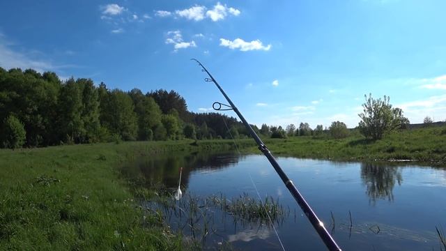 Рыбалка на Корку Хлеба. Что Клюет На Корку Хлеба? смотреть онлайн