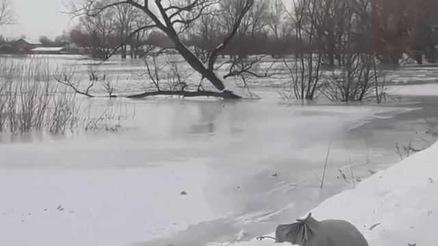 Уровень Иртыша резко поднялся в ВКО смотреть онлайн