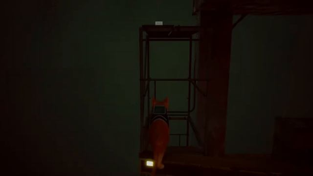 Stray Ер 7 Тернистый путь на верх смотреть онлайн
