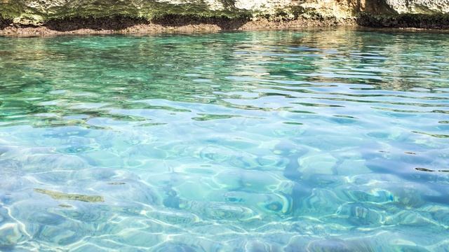 7 класс. Диктант 23. смотреть онлайн