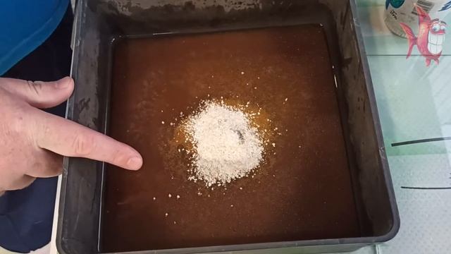 Аулофорус. Разведение в домашних условиях. Очень лёгкий способ. смотреть онлайн