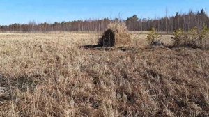 Засидка-автомат Успех