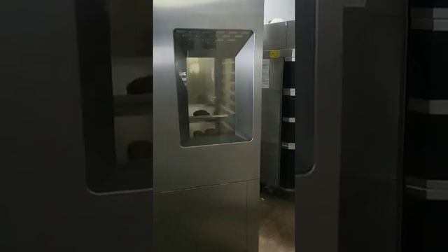 Конвекционная печь Wiesheu Dibas 64 blue L со смотровым стеклом для покупателя б/у смотреть онлайн