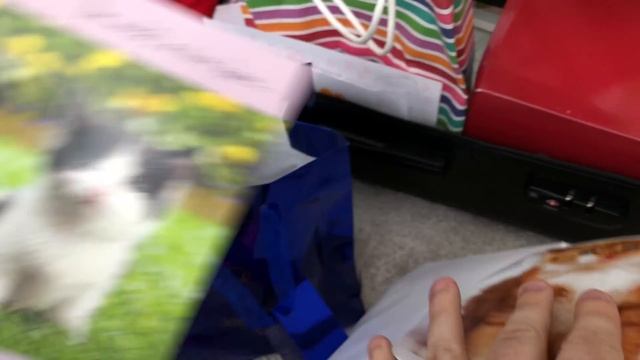 Opening Fan Art! смотреть онлайн