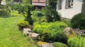 САДЫ ЧЕХИИ?? ЧАСТЬ 3