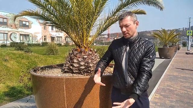 Вазы из искусственного гранита в Олимпийском парке Сочи. смотреть онлайн