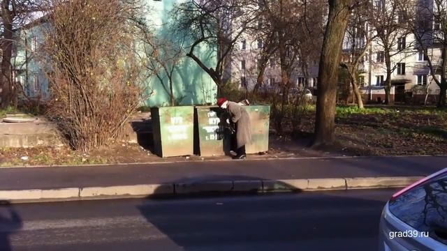 Организация сбора мусора по-русски в Калининграде смотреть онлайн