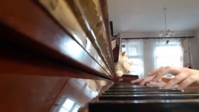 Ж.Б. Бреваль. Концерт D-dur номер 2 op.17, 1 часть. смотреть онлайн
