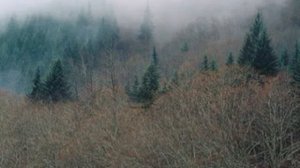 санатории +с лечением радоновыми ваннам