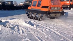 Пример использования материала Римамид