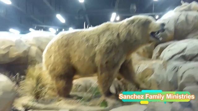 World Wildlife Museum - Saint George Utah смотреть онлайн