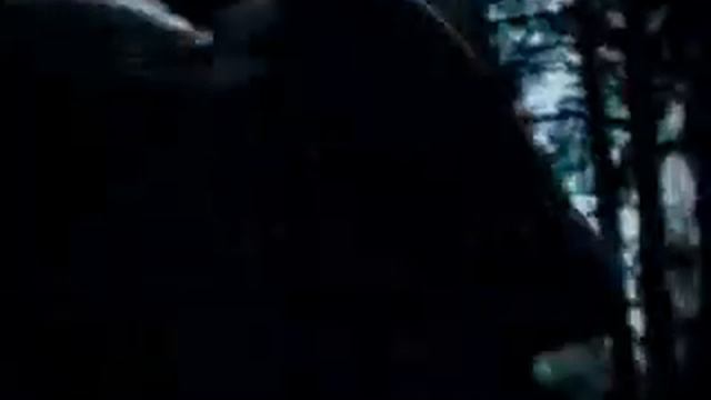 Smislovye Galiucinacii - Vechno Molodoi (remix)