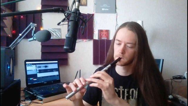 Toxicity tin whistle cover | Lindar Music смотреть онлайн
