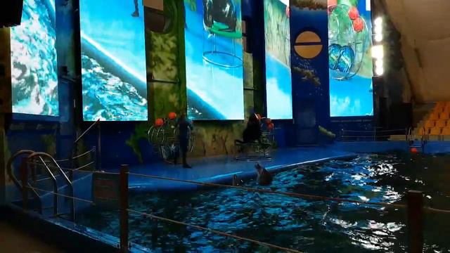 Одесский дельфинарий НЕМО. Новое дневное шоу ЕДИНАЯ ПЛАНЕТА! смотреть онлайн