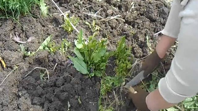 Стройка Секретов