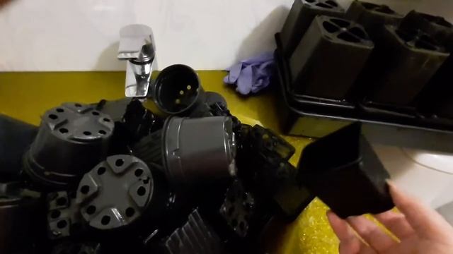 В какие горшочки пикировать рассаду смотреть онлайн