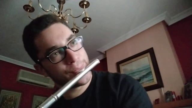 Menuet,  Perteneciente A La Suite Orquestal No.2 En Si Menor De Johann Sebastian Bach BWV 1067