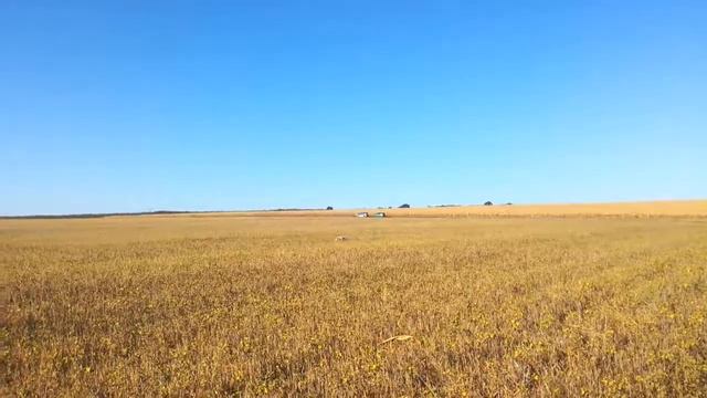 Лов с Епаньол Бретон 2 смотреть онлайн