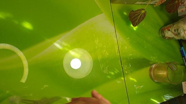 Новинки 🌿 почта 🌿 обмен 🌿 подарок на день рождения 🌿 влог,цветочные будни 🌿 04.07 2022 смотреть онлайн