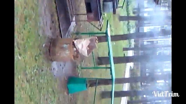 Санаторий Митино 2016 год)) часть 2 смотреть онлайн