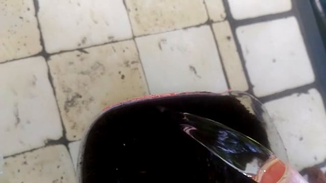 ЧЕРЕНКОВАНИЕ РОЗЫ, ГОРТЕНЗИИ, ВЕЙГЕЛЫ, ФОРЗИЦИИ смотреть онлайн