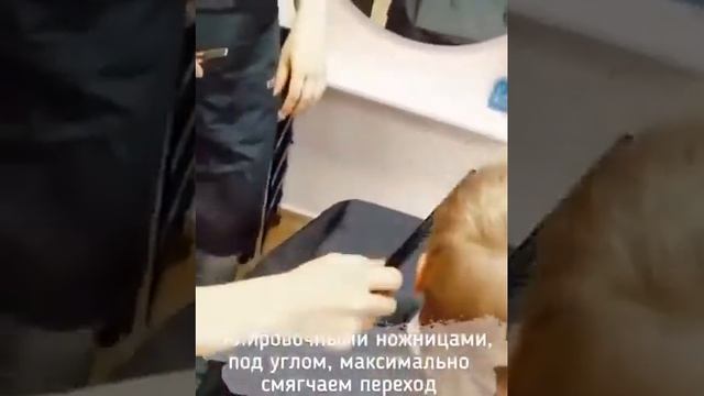 Урок стрижка Ирокез - Наша школа парикмахеров смотреть онлайн
