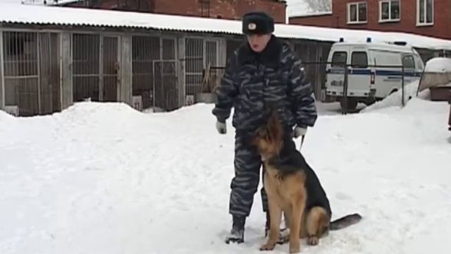 Живу в Ижевске 14.03.12 смотреть онлайн