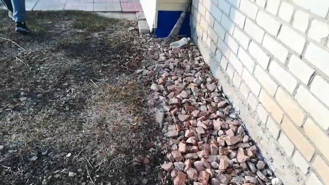 Как поймать хомяка на даче. смотреть онлайн