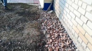 Как поймать хомяка на даче.