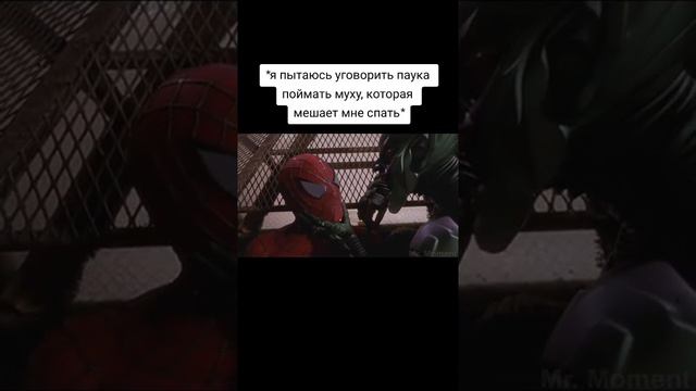 поймай муху #tiktok #муха смотреть онлайн