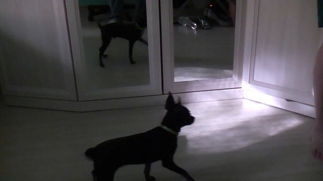 Тима смотреть онлайн