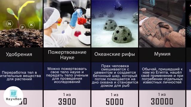 Сравнение: Виды Похорон смотреть онлайн