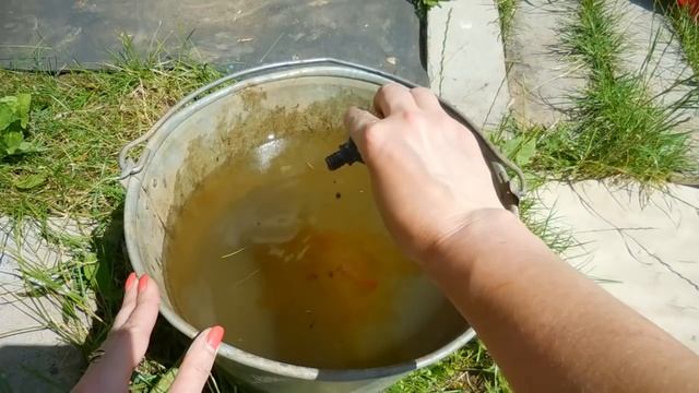 Чтобы образовались кочаны на капусте. Супер-подкормка. смотреть онлайн