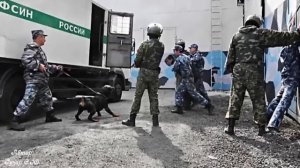 Александр  Дюмин   «Приговор»