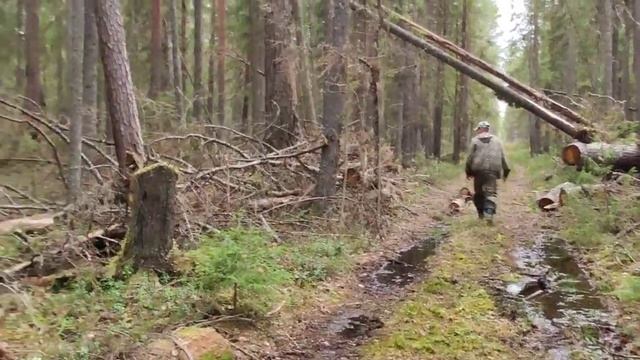 Рыбалка на Березовском. Каракат-переломка.Отдыхаем,ловим рыбу.Крутой отдых.2-я серия смотреть онлайн