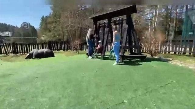 Summer is coming... Горный Алтай 2021 Май смотреть онлайн