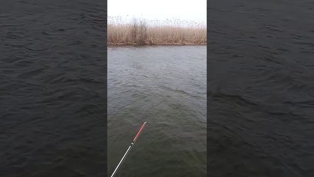 рыбалка в Астрахани смотреть онлайн