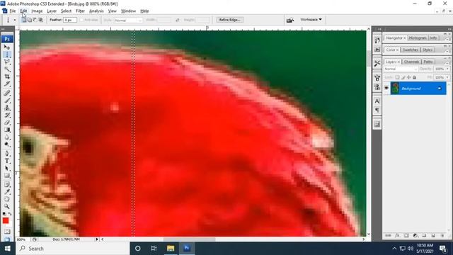 Photoshop Marquee Tool (தமிழ்) смотреть онлайн